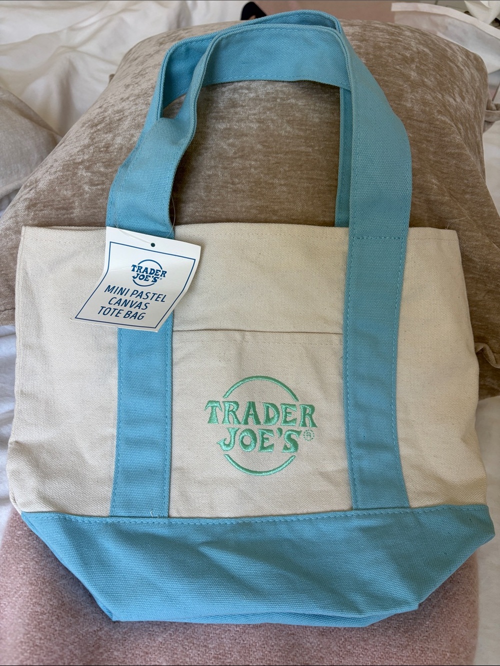 Trader Joe’s Mini Pastel Canvas Tote Bag — Blue & Cream